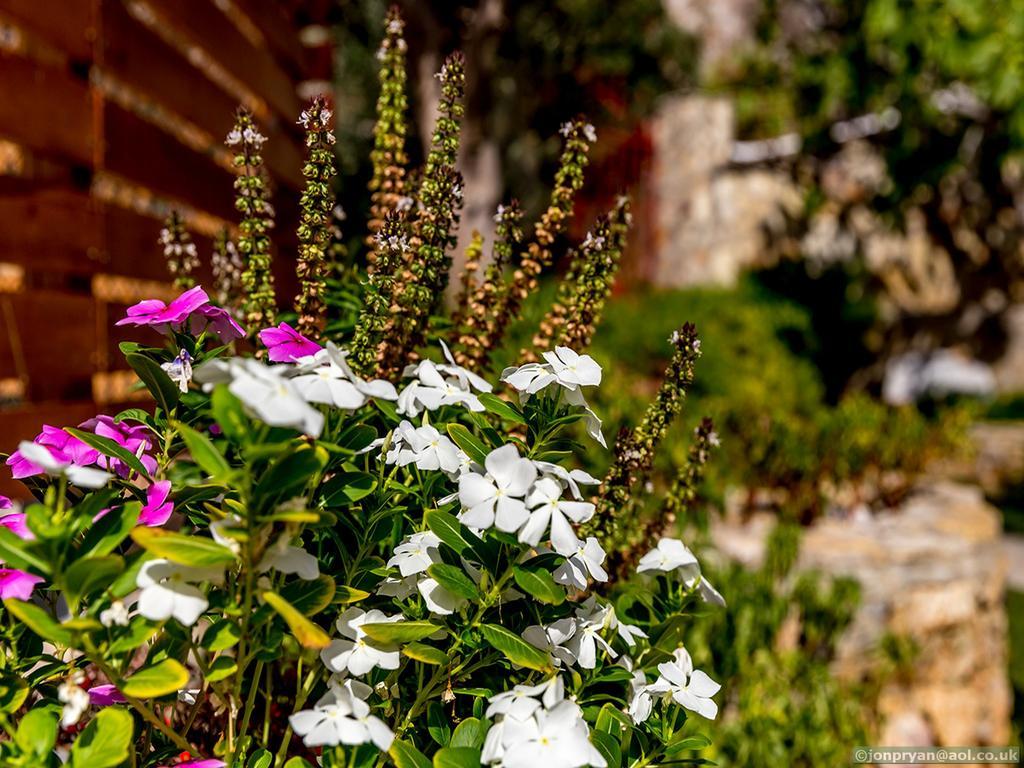 Fotinis Cottage Symi Exterior photo